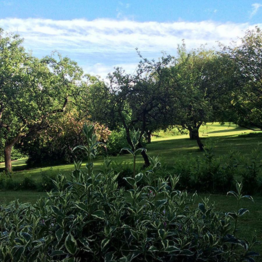 Beechfield Cottages Meopham  Exteriér fotografie